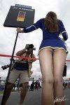 formula1_o_1.jpg