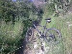Imagen032.jpg