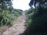 Imagen045.jpg