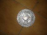 DSC01342.jpg