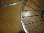 DSC01335.jpg