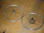 DSC01334.jpg