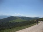 IMG_3573.jpg