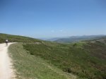 IMG_3575.jpg