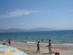 DSC03811.jpg