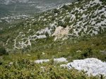 IMG_7048.jpg