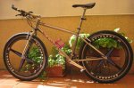 kona 4.jpg