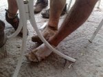 23052010097.jpg