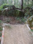 DSC02474.jpg