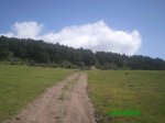 JAROSA6.jpg