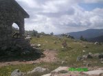 JAROSA12.jpg