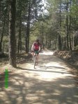 JAROSA7.jpg