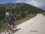 JAROSA3.jpg