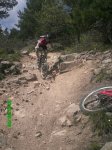 JAROSA9.jpg