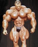 musculitos.jpg