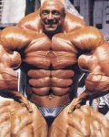 musculos.jpg