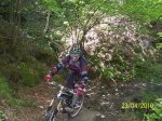 100_2299.jpg
