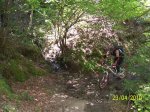 100_2300.jpg