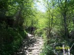 100_2308.jpg