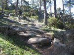 Imagen 032 (Medium).jpg