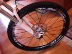DSC07916.jpg