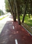07052010329.jpg