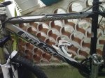 25052010379.jpg