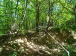 DSC06081.jpg