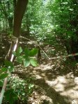 DSC06082.jpg