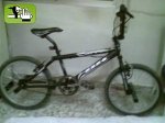 1188731233_mi_bici_de_bmx.jpg