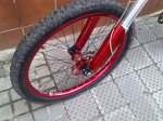 28052010663.jpg