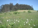 PICT0040.jpg