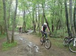 DSC04980.jpg