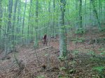 DSC04971.jpg