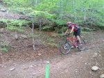 DSC04970.jpg