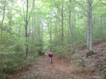 DSC04975.jpg