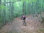 DSC04972.jpg