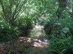 PICT0030.jpg