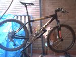 giant 033.jpg