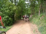 el besora 004.jpg