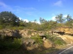 29052010093.jpg