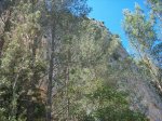 montanejos 2010 038.jpg