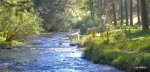 DSCN1603.JPG