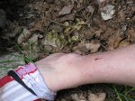 IMG_0018 - copia.JPG
