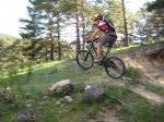IMG_3166.jpg