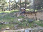 IMG_3170.jpg