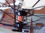 DSC00054.jpg