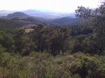 Imagen019.jpg