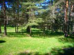 Foto9.JPG