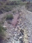 Imagen017.jpg